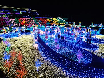 伊豆ぐらんぱる公園に投稿された画像（2023/1/6）