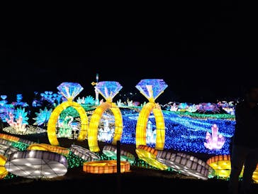 伊豆ぐらんぱる公園に投稿された画像（2023/1/6）