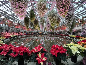 なばなの里に投稿された画像（2023/1/7）