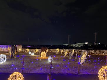 東京メガイルミに投稿された画像（2023/1/7）