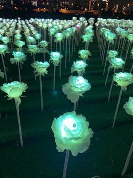 東京メガイルミに投稿された画像（2023/1/7）