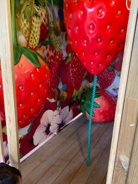 鈴鹿サーキットに投稿された画像（2023/1/7）