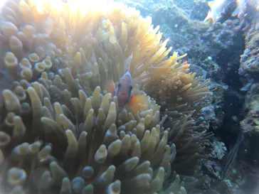 武藤潜水に投稿された画像（2023/1/7）