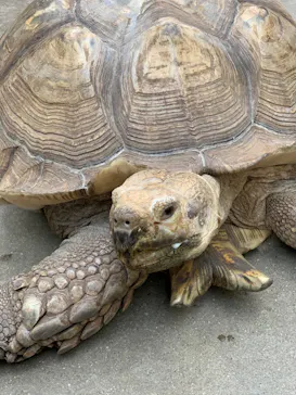 神戸どうぶつ王国に投稿された画像（2023/1/7）