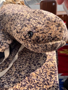 京都水族館に投稿された画像（2023/1/7）