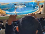 新江ノ島水族館に投稿された画像（2023/1/7）