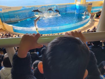 新江ノ島水族館に投稿された画像（2023/1/7）