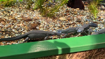 鴨川シーワールドに投稿された画像（2023/1/7）