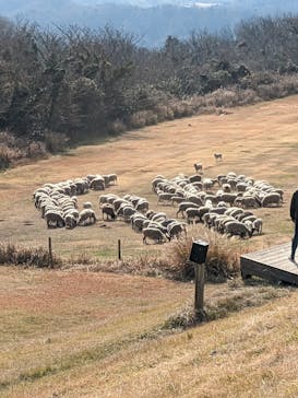 マザー牧場に投稿された画像（2023/1/7）