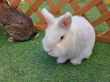 伊香保グリーン牧場に投稿された画像（2023/1/7）