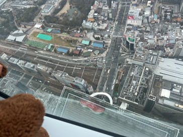 ハルカス300(展望台)に投稿された画像（2023/1/7）