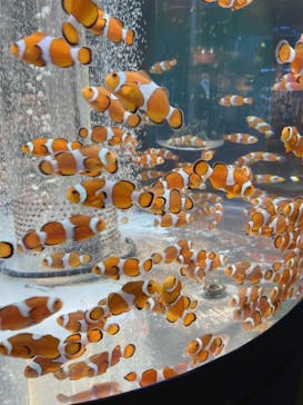 鴨川シーワールドに投稿された画像（2023/1/7）