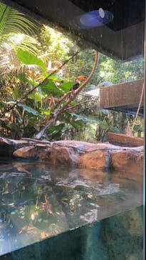 カワスイ 川崎⽔族館に投稿された画像（2023/1/7）