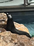 すみだ水族館に投稿された画像（2023/1/7）