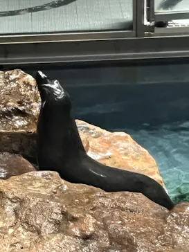 すみだ水族館に投稿された画像（2023/1/7）