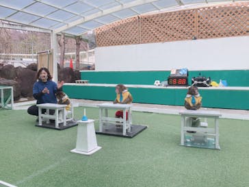 おさるランド＆アニタウン　日光さる軍団劇場に投稿された画像（2023/1/7）