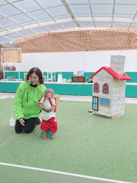 おさるランド＆アニタウン　日光さる軍団劇場に投稿された画像（2023/1/7）