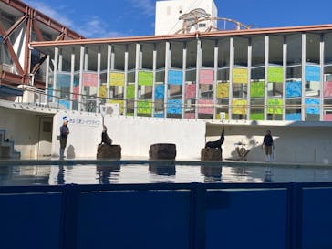 伊豆・三津シーパラダイスに投稿された画像（2023/1/7）