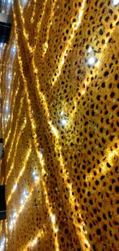 ゴッホ・アライブに投稿された画像（2023/1/7）