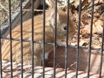 環境水族館アクアマリンふくしまに投稿された画像（2023/1/7）