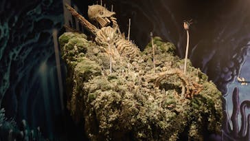 アニメージュとジブリ展に投稿された画像（2023/1/7）