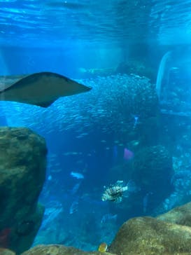 湘南モノレール大船駅に投稿された画像（2023/1/7）