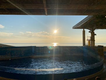 湘南モノレール大船駅に投稿された画像（2023/1/7）