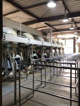 志摩スペイン村パルケエスパーニャに投稿された画像（2023/1/7）