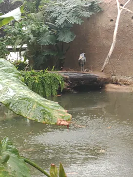 神戸どうぶつ王国に投稿された画像（2023/1/7）