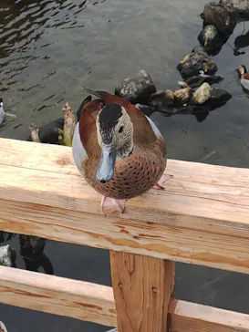 神戸どうぶつ王国に投稿された画像（2023/1/7）