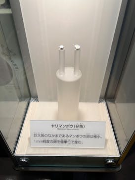 国立科学博物館に投稿された画像（2023/1/7）