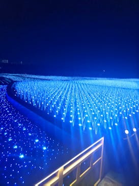 東京メガイルミに投稿された画像（2023/1/7）