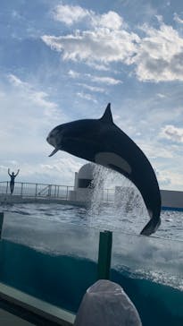 鴨川シーワールドに投稿された画像（2023/1/7）