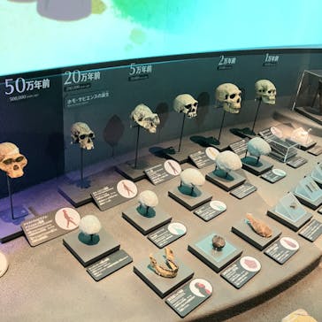 国立科学博物館に投稿された画像（2023/1/7）