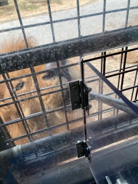 群馬サファリパークに投稿された画像（2023/1/7）