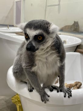 アニタッチみなとみらいに投稿された画像（2023/1/7）