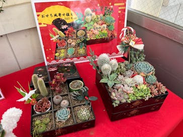 伊豆シャボテン動物公園に投稿された画像（2023/1/7）