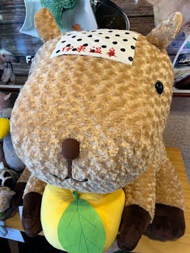 伊豆シャボテン動物公園に投稿された画像（2023/1/7）