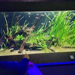 カワスイ 川崎⽔族館に投稿された画像（2023/1/7）