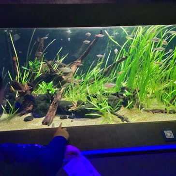 カワスイ 川崎⽔族館に投稿された画像（2023/1/7）