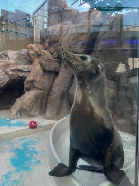 サンシャイン水族館に投稿された画像（2023/1/7）