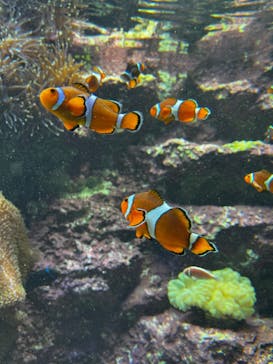 サンシャイン水族館に投稿された画像（2023/1/7）