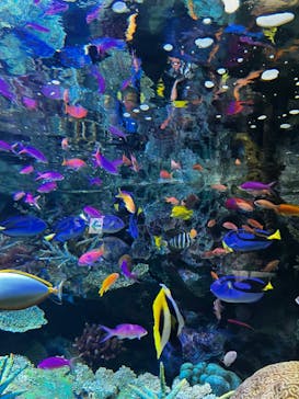 サンシャイン水族館に投稿された画像（2023/1/7）