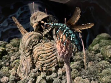 アニメージュとジブリ展に投稿された画像（2023/1/7）