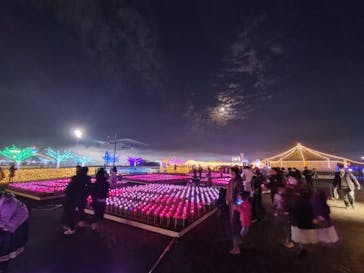 東京メガイルミに投稿された画像（2023/1/7）