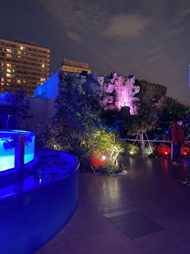 サンシャイン水族館に投稿された画像（2023/1/7）