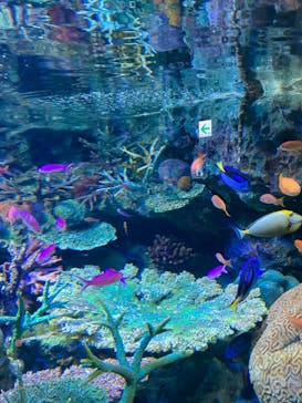サンシャイン水族館に投稿された画像（2023/1/7）