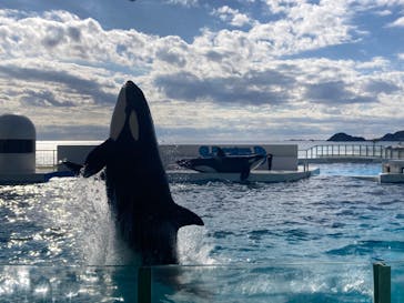 鴨川シーワールドに投稿された画像（2023/1/7）