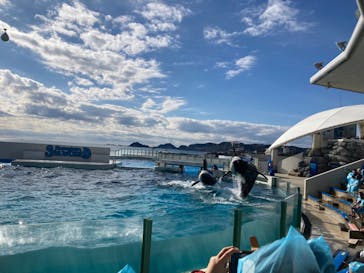 鴨川シーワールドに投稿された画像（2023/1/7）