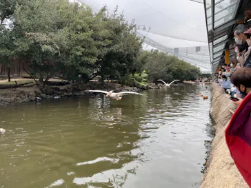 神戸どうぶつ王国に投稿された画像（2023/1/7）